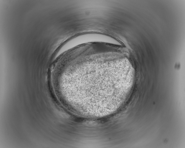 X0000090620299200708141419