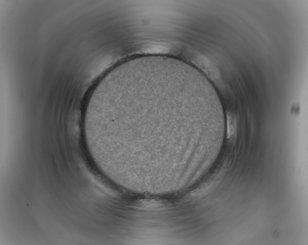 X0000090620300200708141419