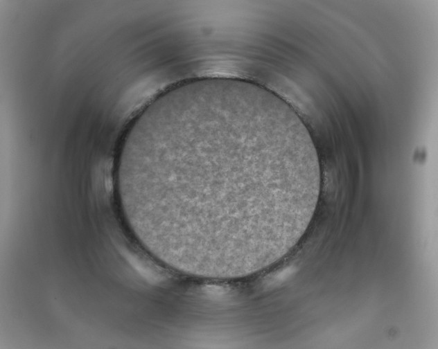 X0000090620302200708141419