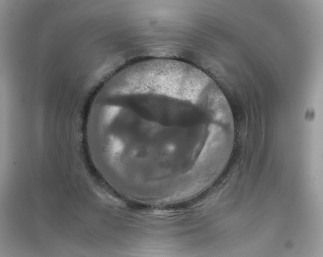 X0000090620303200708141419