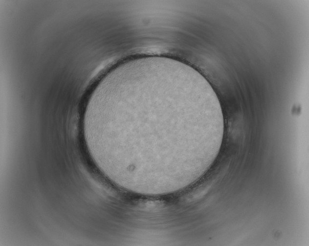 X0000090620304200708141419