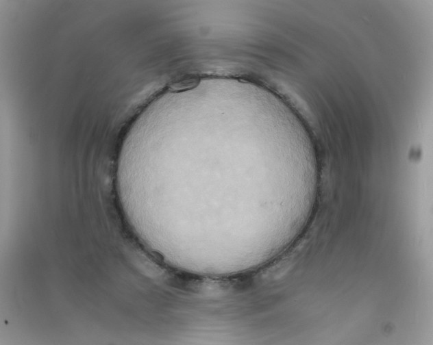 X0000090620305200708141419