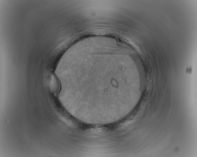 X0000090620307200708141419