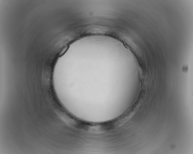 X0000090620309200708141418