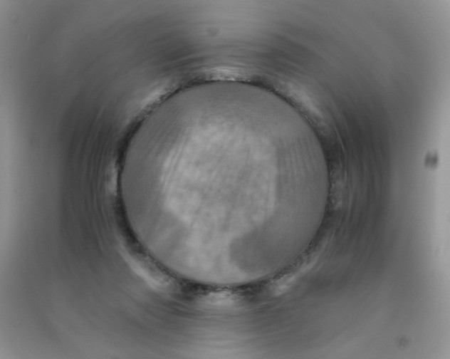 X0000090620310200708141418