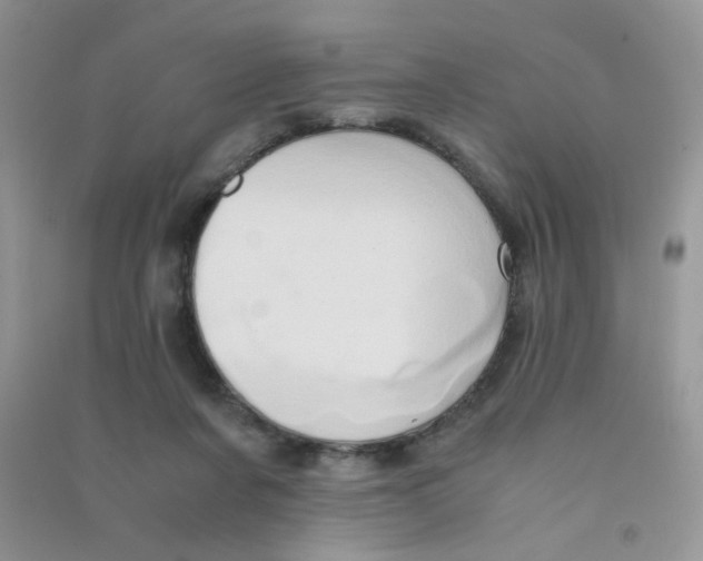 X0000090620311200708141418