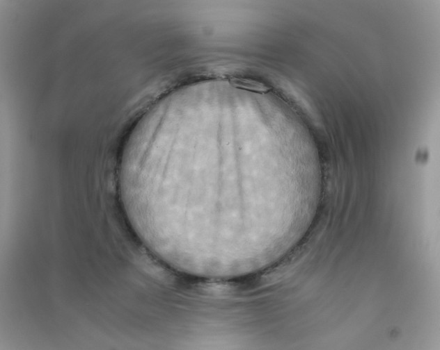 X0000090620313200708141418