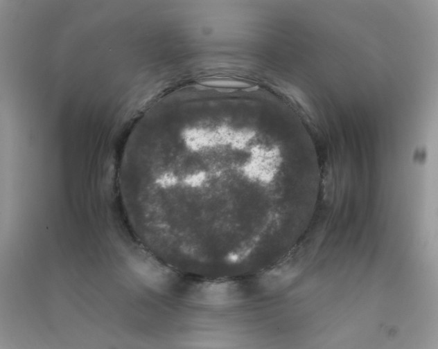 X0000090620314200708141418