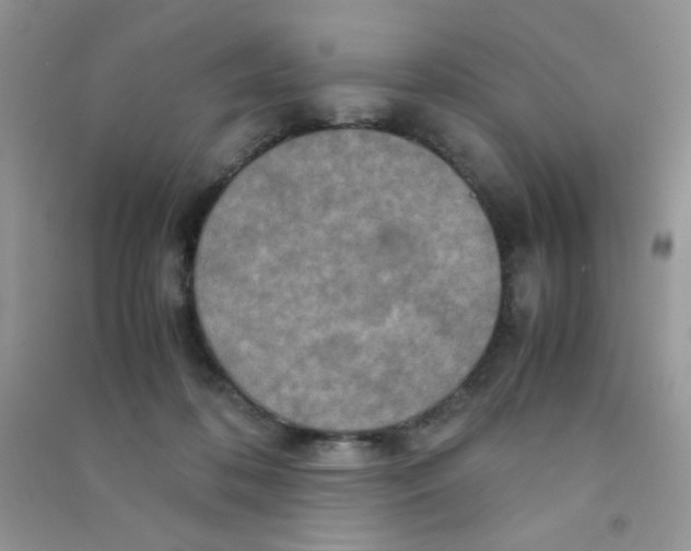 X0000090620316200708141418