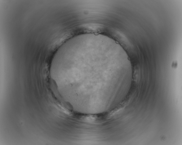 X0000090620318200708141418