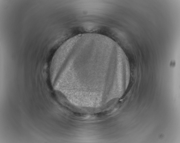 X0000090620319200708141418