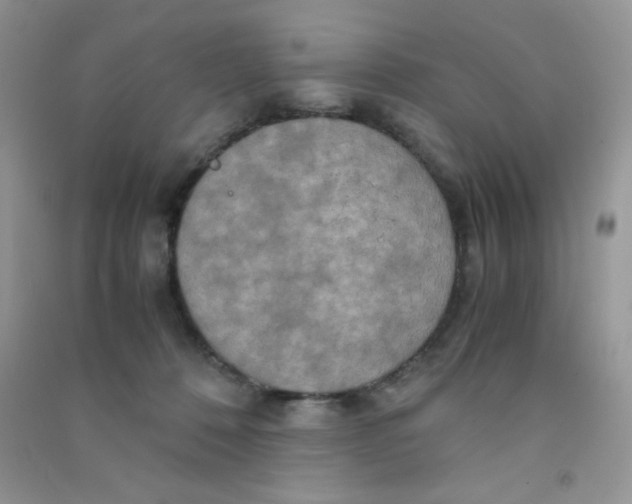 X0000090620320200708141418