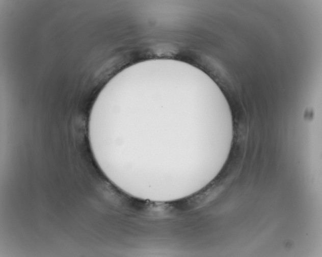 X0000090620321200708141418