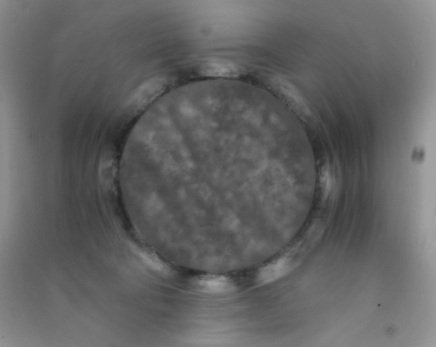 X0000090620322200708141418