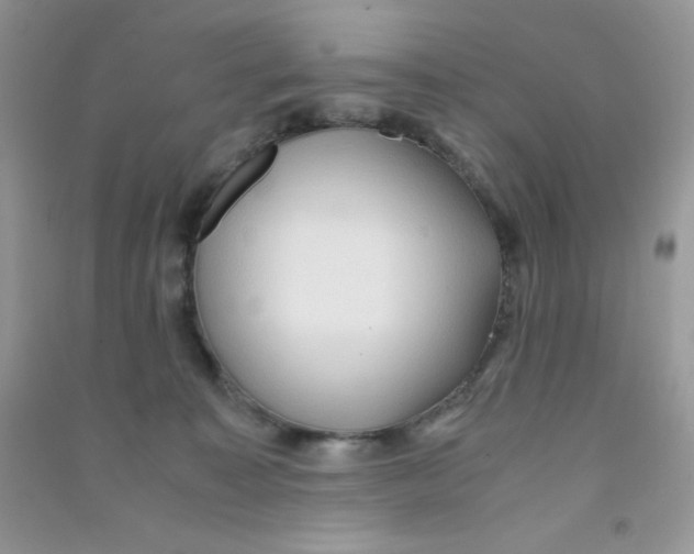 X0000090620323200708141418