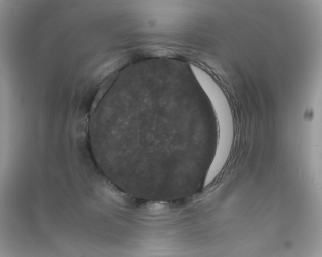 X0000090620325200708141418