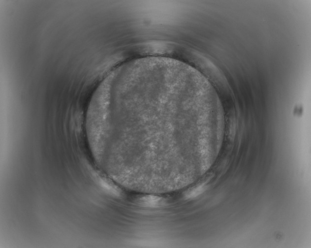 X0000090620326200708141418