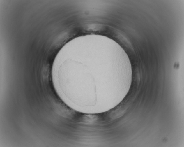 X0000090620328200708141418