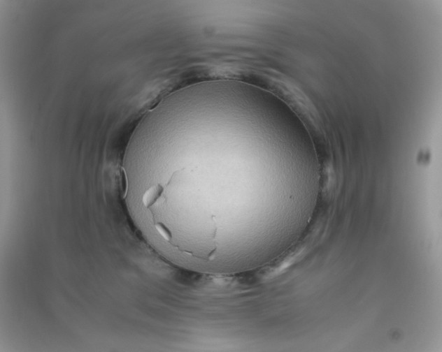 X0000090620329200708141418