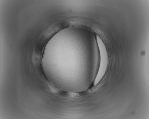 X0000090620333200708141418