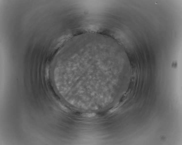 X0000090620334200708141418