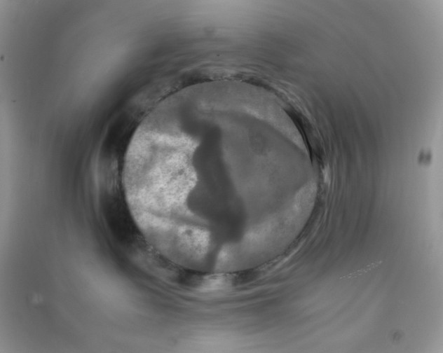 X0000090620335200708141418