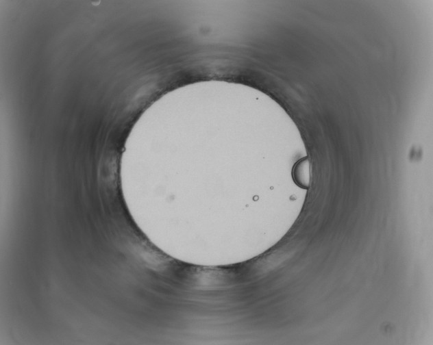 X0000090620336200708141418