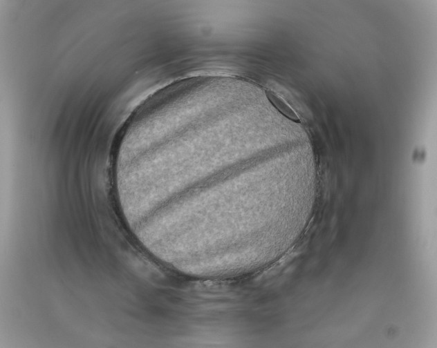 X0000090620338200708141418