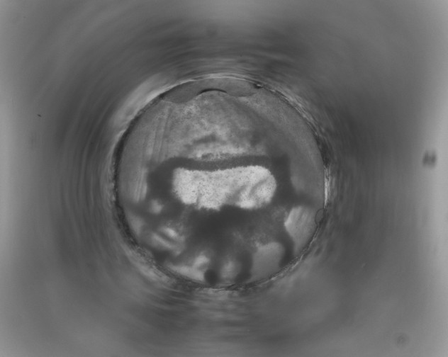 X0000090620339200708141418