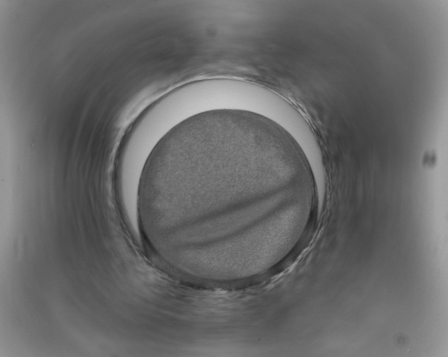 X0000090620340200708141418