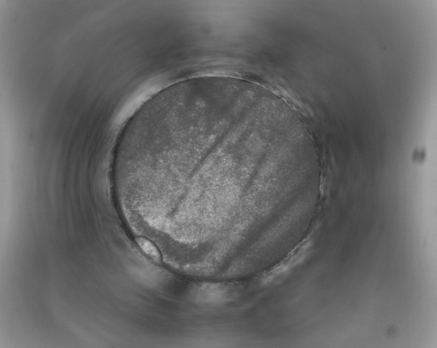 X0000090620341200708141418