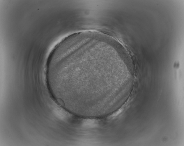 X0000090620342200708141418