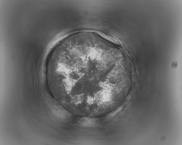 X0000090620343200708141418