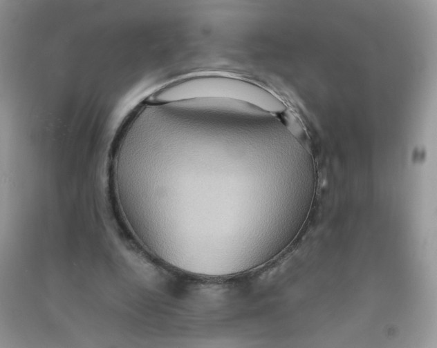 X0000090620344200708141418