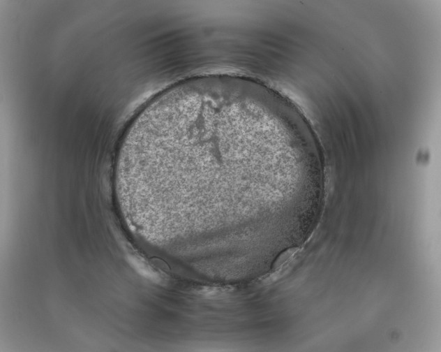 X0000090620345200708141418