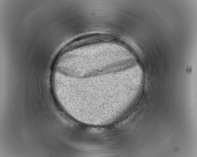 X0000090620346200708141418