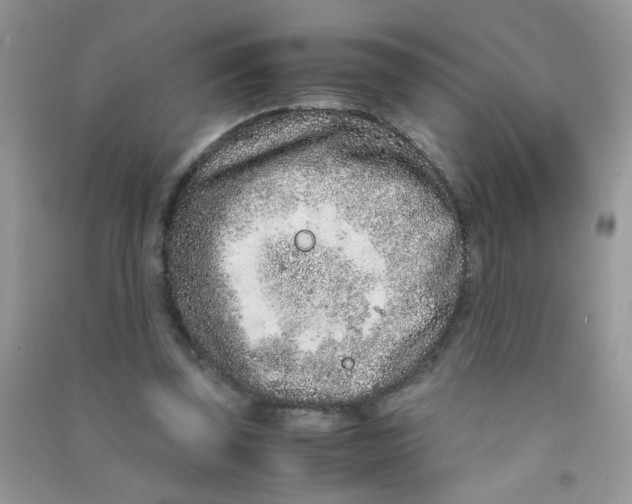 X0000090620347200708141418