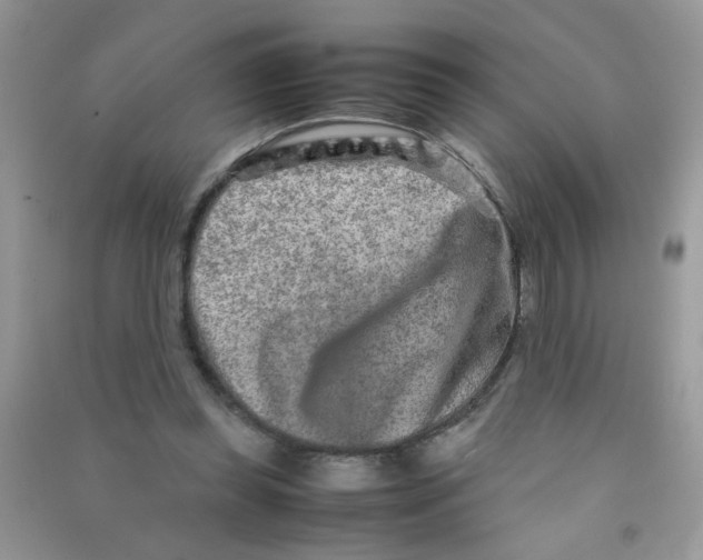 X0000090620349200708141418