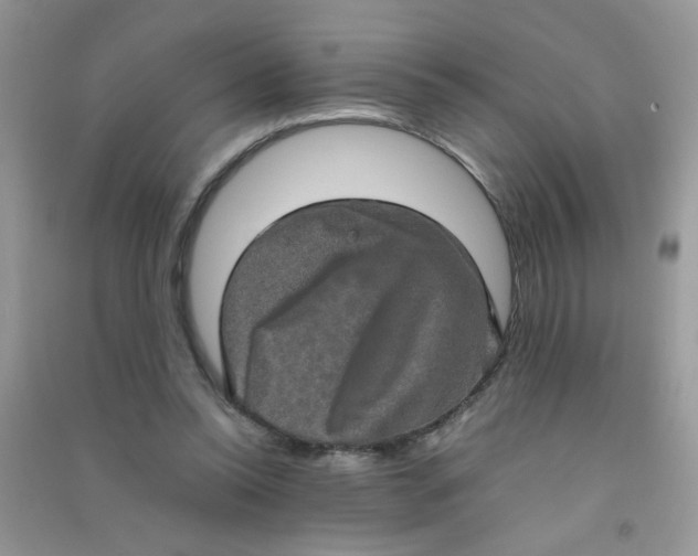 X0000090620350200708141418