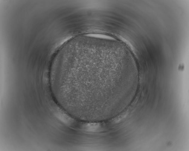 X0000090620353200708141418