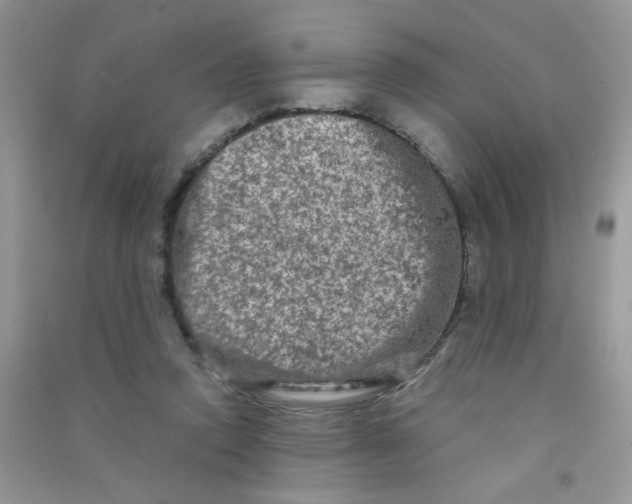 X0000090620354200708141418