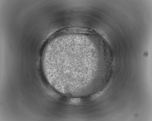 X0000090620355200708141418