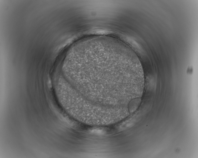 X0000090620358200708141418