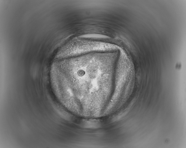 X0000090620359200708141418