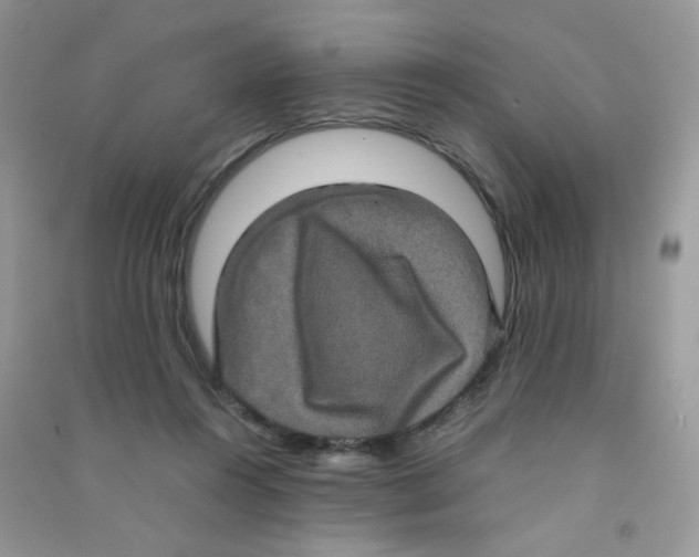 X0000090620360200708141418