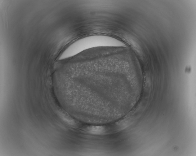 X0000090620361200708141418