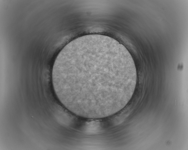 X0000090620362200708141418