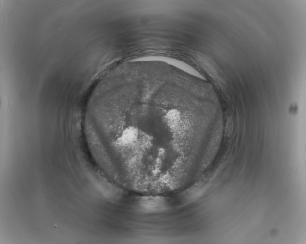 X0000090620363200708141418