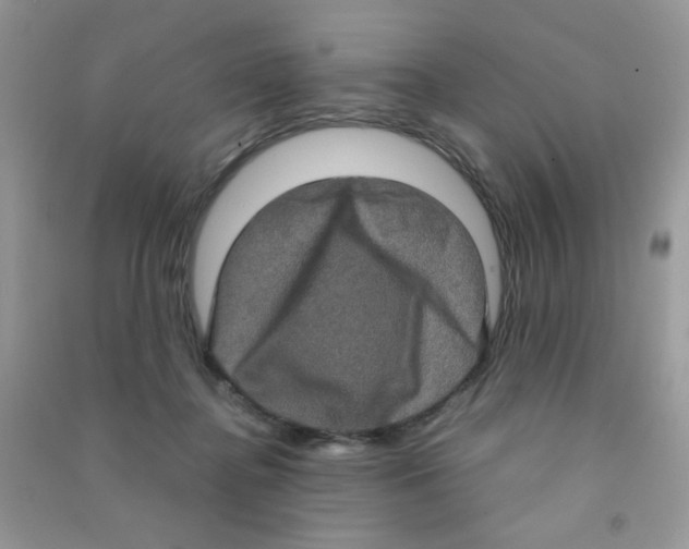 X0000090620364200708141418