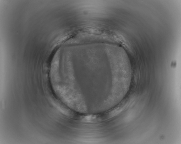 X0000090620366200708141418